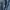 Lee Cooper Jeans Straight  photo 5