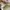 Vans Authentic Vault OG LX Cream White photo 7