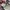 Vans Authentic Vault OG LX Gray White photo 7