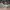 Realtree Woody Outfitters Camo Adjustable Visor photo 3