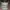 Realtree Woody Outfitters Camo Adjustable Visor photo 1