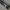 Vintage Pria gray photo 8
