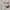 Jumpsuit Hellokitty coquette babytee sanrio cute casual  photo 4