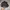 Topi Supreme Box Logo Mesh Back New Era photo 2