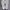 Adidas Superstar OG Cloud White Core Black Leather Original photo 5