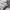 Adidas Superstar OG Cloud White Core Black Leather Original photo 7