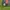 AC Milan Home 2015-16 Long Sleeve photo 4