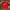 Manchester United Home 2015-16 photo 1