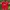 Manchester United Home 2015-16