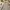 Dress Linen Halus Tanpa Lengan - Warna Abu Muda Natur photo 1