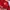 Arsenal Home 2014-15 photo 3