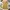 Dress rajut kuning mustard photo 1