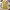 Dress Rajut Kuning Mustard