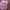 Smiggle Coquette Casual Kids pink photo 2