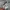 Jeep Shirt Denim Second Thrift Original
