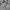 2000’s Flared grey longpants japanesse photo 6