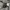 2000’s Flared grey longpants japanesse photo 4