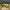 Nike Streetwear Casual Sneakers Pria white yellow photo 1