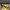Nike Streetwear Casual Sneakers Pria White Yellow