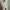 Crocs Classic _prelved crocs_sendal crocs photo 5
