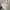 Crocs Classic _prelved crocs_sendal crocs photo 7