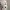 Crocs Classic _prelved crocs_sendal crocs photo 8