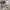 Crocs Classic _prelved crocs_sendal crocs photo 1