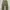 Vintage Lee Fatigue Green Work Pants 🫒