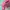 Benetton Bucket Hat for Beautiful Girls photo 5