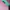 Benetton Bucket Hat for Beautiful Girls photo 3