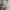 SETTLE SELECTION JAPAN BRAND KNITWEAR photo 4