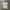 Puma Manchester City Jersey photo 1