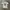 Puma Manchester City Jersey photo 5