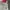 Authentic SCULPTOR BAGGY CARGOJEANS  photo 8
