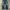 The Navy Baggy Jeans Pants photo 2