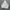 Tracktop jacket adidas x besiktas j,k football  photo 4