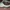 Champion Golf Sun Visor Hat photo 4
