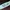 Champion Golf Sun Visor Hat