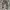 Lucien Pellat-Finet Polka Dot Camouflage Slim Pants photo 1