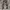 Lucien Pellat-Finet Polka Dot Camouflage Slim Pants photo 2