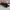 Nike Zoom Winflo 7 Black Antrhacite photo 1