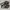 Nike Zoom Winflo 7 Black Antrhacite photo 4