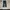 Santa Barbara Flare Bootcut Denim photo 2