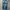 Faded C.O.A.X Racing Jeans Pants  photo 7