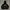 LMC Pullover Hoodie