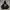LMC Pullover Hoodie photo 2