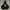 LMC Pullover Hoodie
