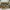 Thanksinsomnia Streetwear Sportswear Sneakers Pria brown black photo 1