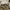 Thanksinsomnia Streetwear Sportswear Sneakers Pria Brown Black