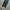 DOLCE & GABANA Jeans Pants  photo 7